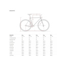 6KU "Concrete" Singlespeed/Fixie  Complete Bike