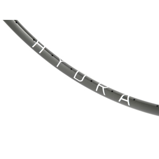 H PLUS SON The Hydra Disc 28 Inch Rim NMSW Grey