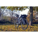 BOMBTRACK "Arise" Complete Bike | Glossy Metallic Pearl Blue