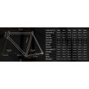 BROTHER CYCLES "Kepler 2025" Frame Set | Teal is Real