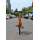 AVENTON Kijote Adventure Bike | Sunset Yellow 54cm