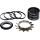 REVERSE "HG Single Speed Kit" 13T Light Blue
