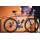 ASS SAVERS Mudder Mini Mudguard | Bits n Peaces