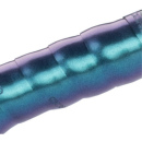 CONTEC Comfort.Tacky Lenkerband | Chameleon Metallic
