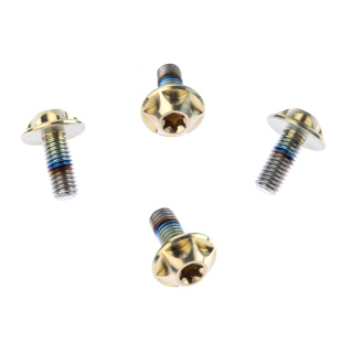 SILCA Cage Schrauben M5x12mm Titanium