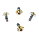 SILCA Cage Schrauben M5x12mm Titanium
