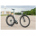 BIKE PUNK "Rankin" Frame | Glossy Raw