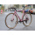 BROTHER CYCLES Kepler Disc Gravelbike | Pink 60cm