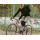 BROTHER CYCLES Kepler Disc Gravelbike | Pink 60cm