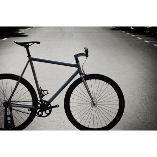 AFFINITY Lo ProCustom M Fixie