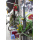 KRYPTONITE New York Standard U-Lock