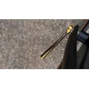 RUNWELL Drip15 Ringschlüssel 15mm | Gold
