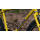 BROTHER CYCLES Pinecone Rahmenset | Honey Monster