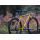 BROTHER CYCLES Pinecone Rahmenset | Honey Monster